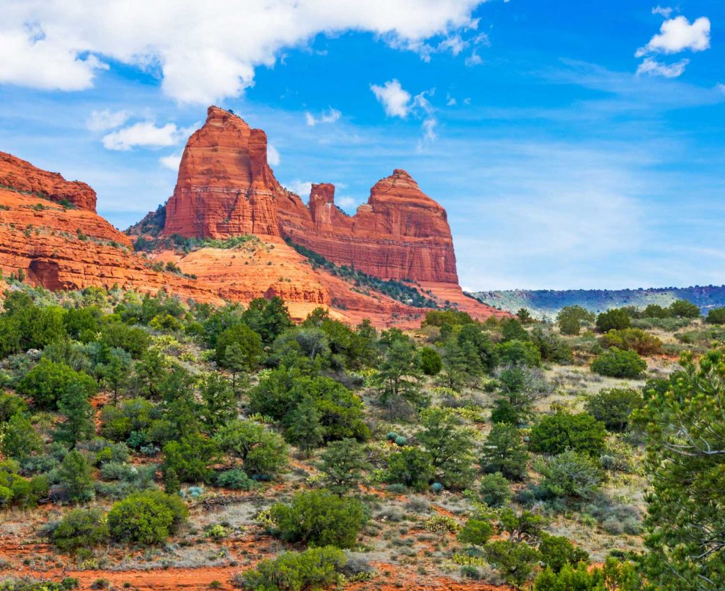 Coconino National Forest Arizona World Tribune 3042