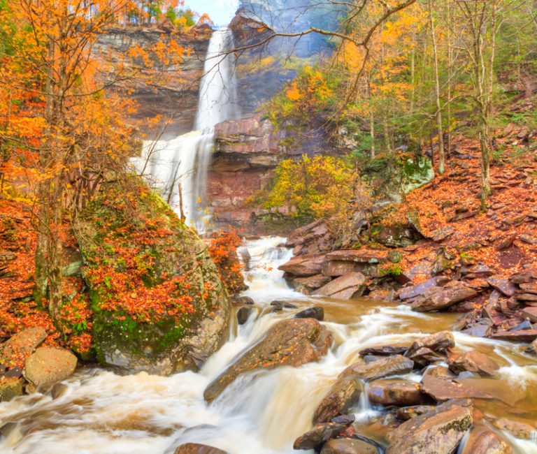 Catskill Forest Preserve, New York - World Tribune