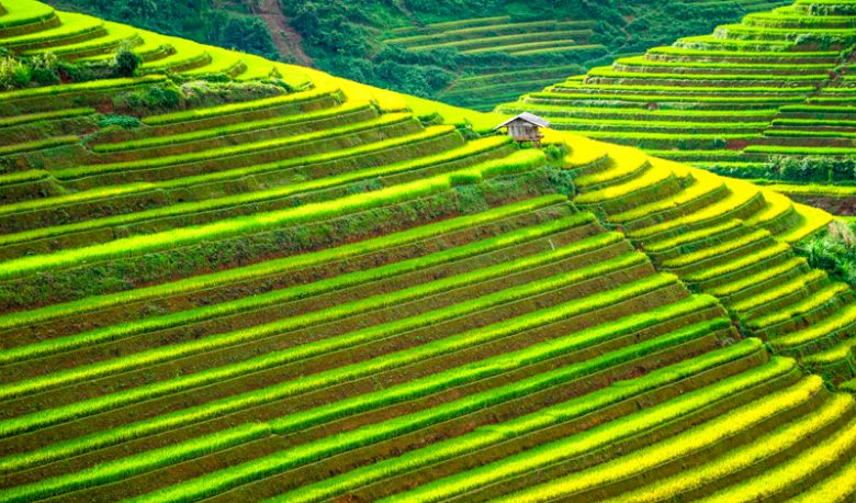 Rice Terraces Of The Philippine Cordilleras - World Tribune