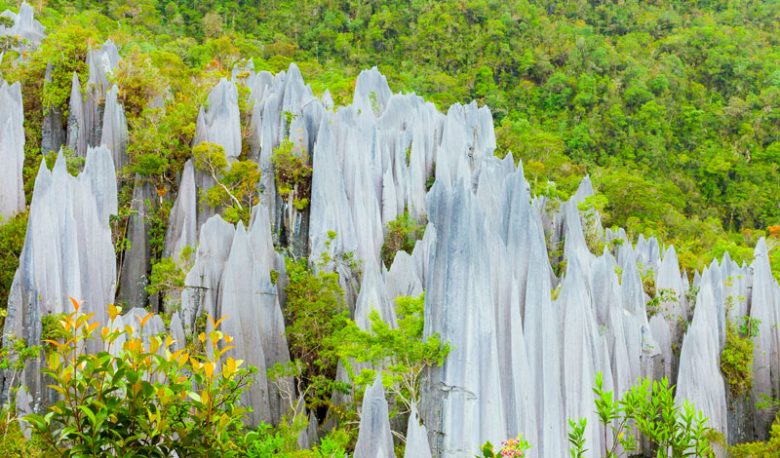 Gunung Mulu National Park Malaysia World Tribune